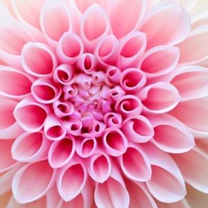 Meet your Posher, Marina